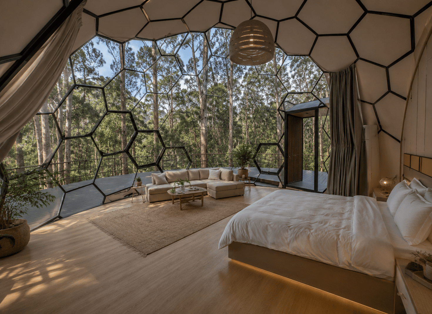 Rainforest Dome - coming soon