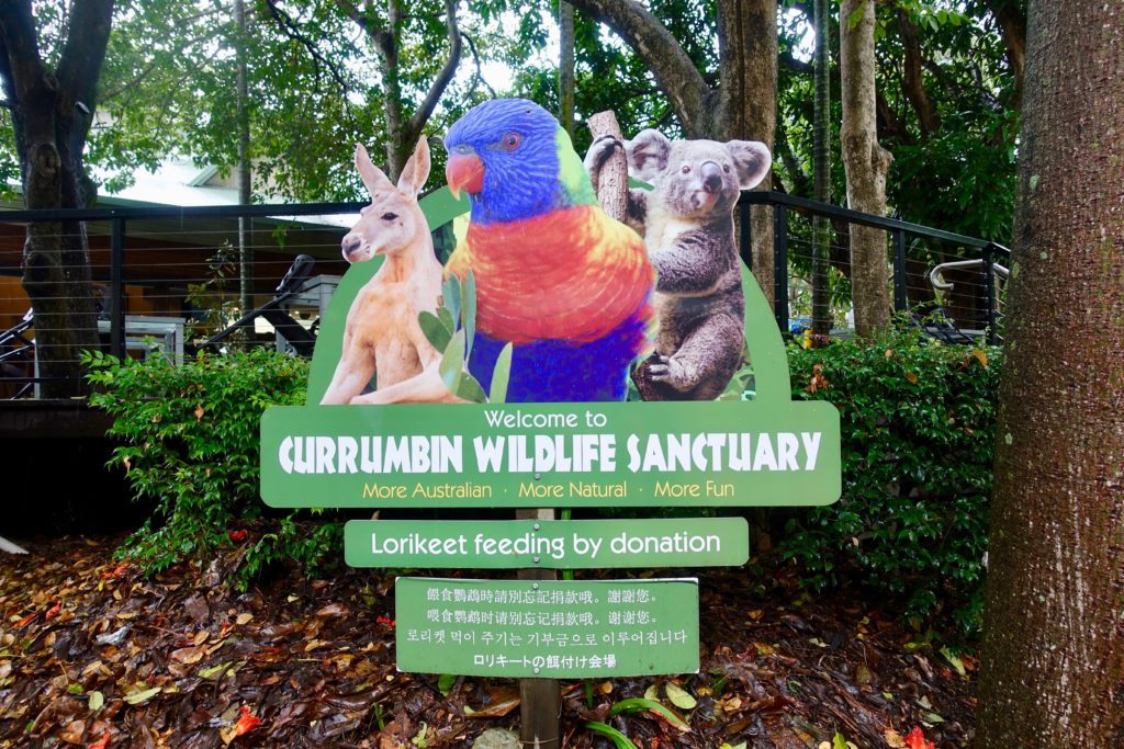 Currumbin Wildlife Sanctuary