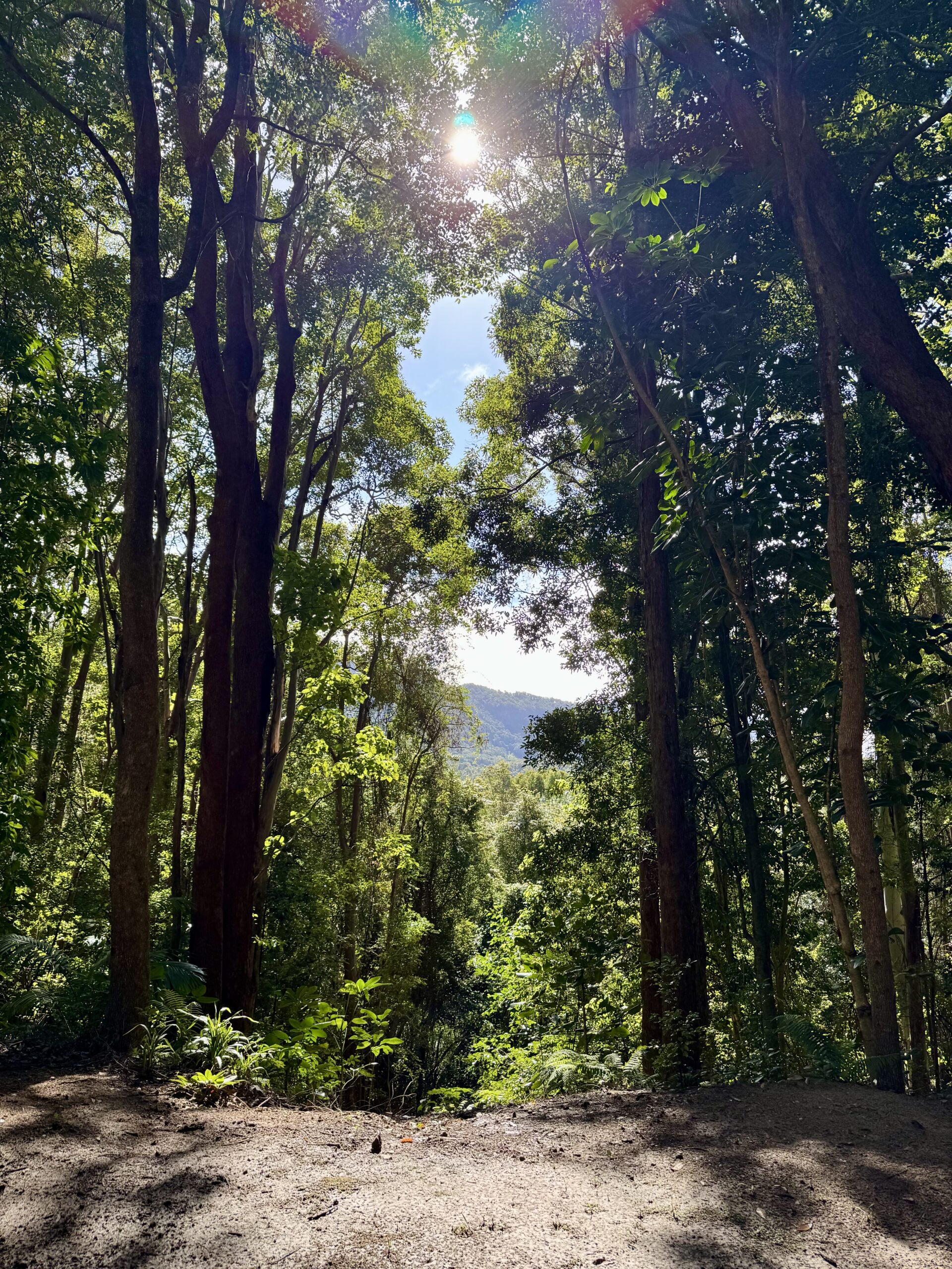 Currumbin Valley Hideaway eco retreat