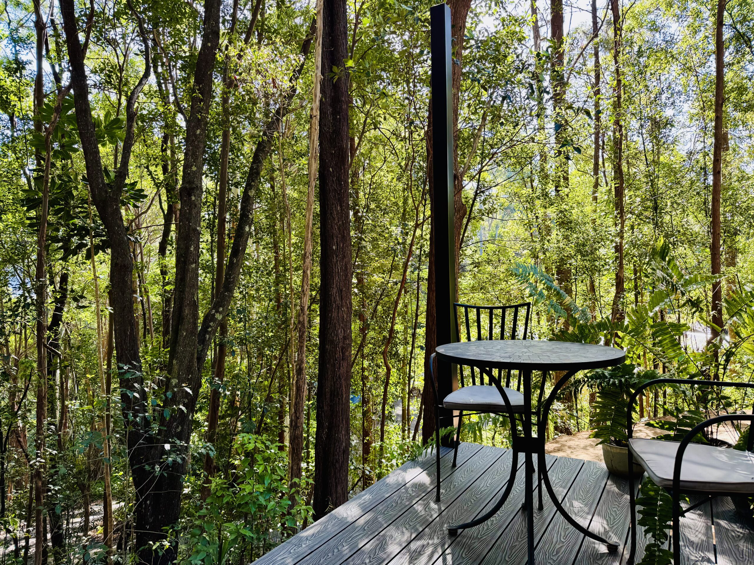 Currumbin Valley Hideaway rainforest setting